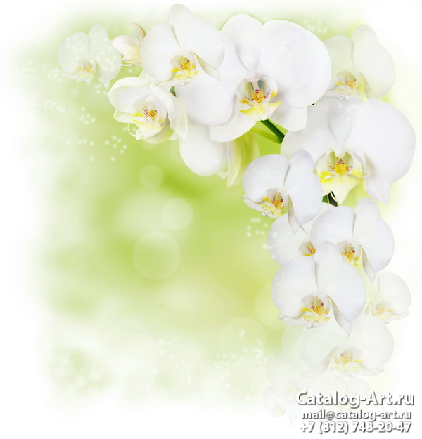 Натяжные потолки с фотопечатью - Белые орхидеи 42